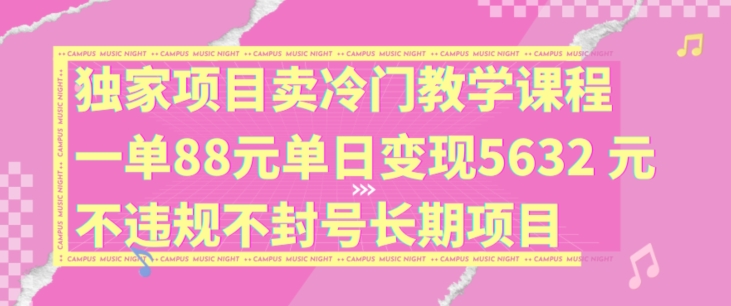 独家项目卖冷门教学课程一单88元单日变现5632元违规不封号长期项目【揭秘】-天韵资源网