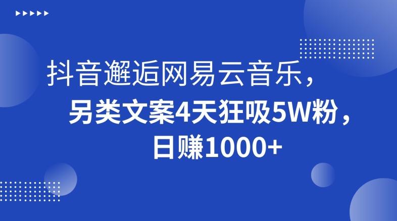 抖音邂逅网易云音乐，另类文案4天狂吸5W粉，日赚1000+【揭秘】-天韵资源网