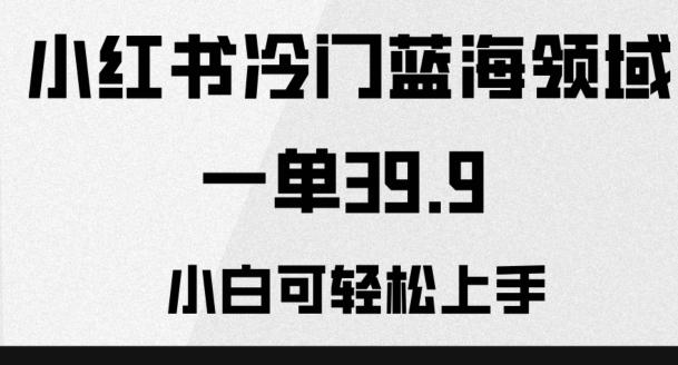 小红书冷门蓝海领域，一单39.9，小白可轻松上手-天韵资源网