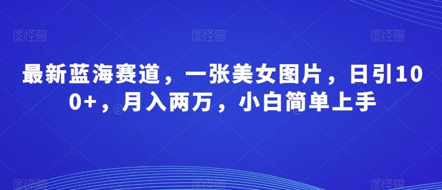 最新蓝海赛道，一张美女图片，日引100+，月入两万，小白简单上手-天韵资源网