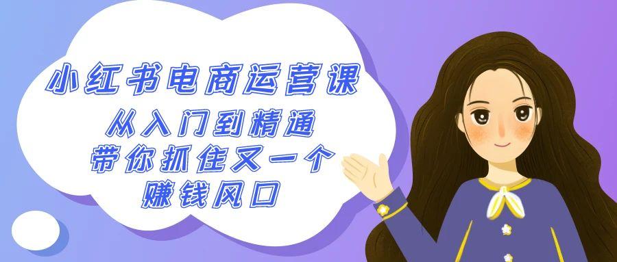 2024小红书电商运营课，从入门到精通，带你抓住又一个赚钱风口(50节课)-天韵资源网