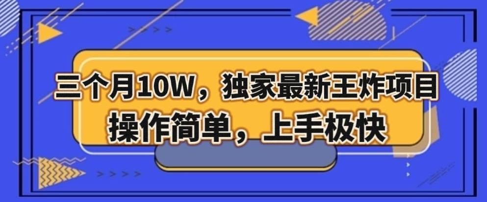 三个月10W，独家最新王炸项目！操作简单，上手极快【揭秘】-天韵资源网