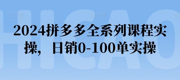 2024拼多多全系列课程实操，日销0-100单实操【必看】-天韵资源网