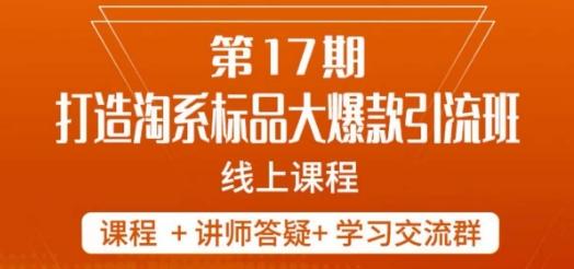 南掌柜-第17期打造淘系标品大爆款，5天线上课-天韵资源网