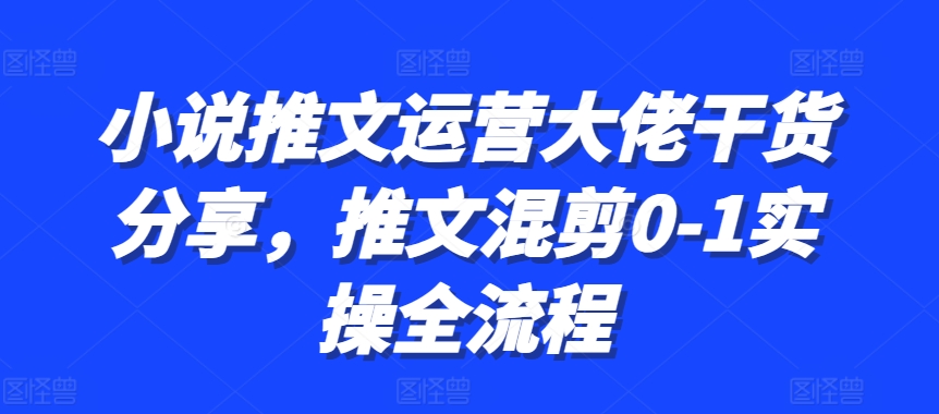 小说推文运营大佬干货分享，推文混剪0-1实操全流程-天韵资源网