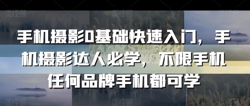 手机摄影0基础快速入门，手机摄影达人必学，不限手机任何品牌手机都可学-天韵资源网