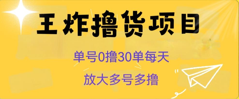 王炸撸货项目，单号0撸30单每天，多号多撸【揭秘】-天韵资源网