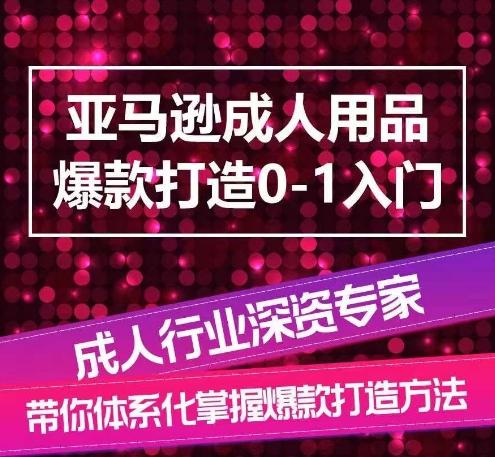 亚马逊成人用品爆款打造0-1入门，系统化讲解亚马逊成人用品爆款打造的流程-天韵资源网