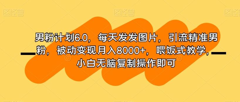 男粉计划6.0，每天发发图片，引流精准男粉，被动变现月入8000+，喂饭式教学，小白无脑复制操作即可-天韵资源网