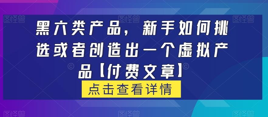 黑六类虚拟产品，新手如何挑选或者创造出一个虚拟产品【付费文章】-天韵资源网