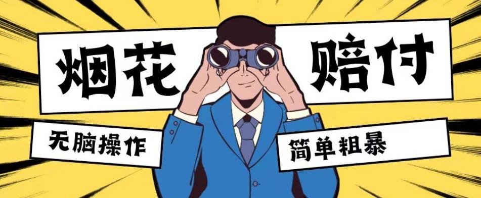 最新蓝海玩法，烟花爆竹赔付，单订单赔付200-500无脑操作【仅揭秘】-天韵资源网
