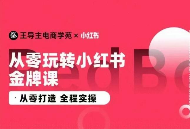 王导主·小红书电商运营实操课，​从零打造  全程实操-天韵资源网