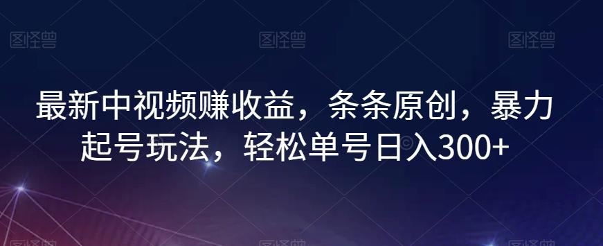 最新中视频赚收益，条条原创，暴力起号玩法，轻松单号日入300+【揭秘】-天韵资源网