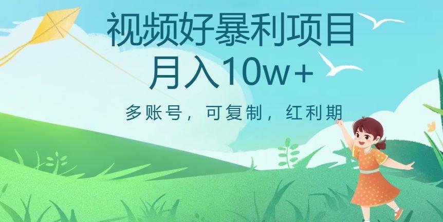 外边收费699项目，视频号暴利项目，多账号可复制，红利期-天韵资源网