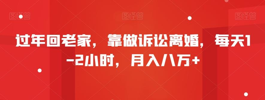 过年回老家，靠做诉讼离婚，每天1-2小时，月入八万+-天韵资源网
