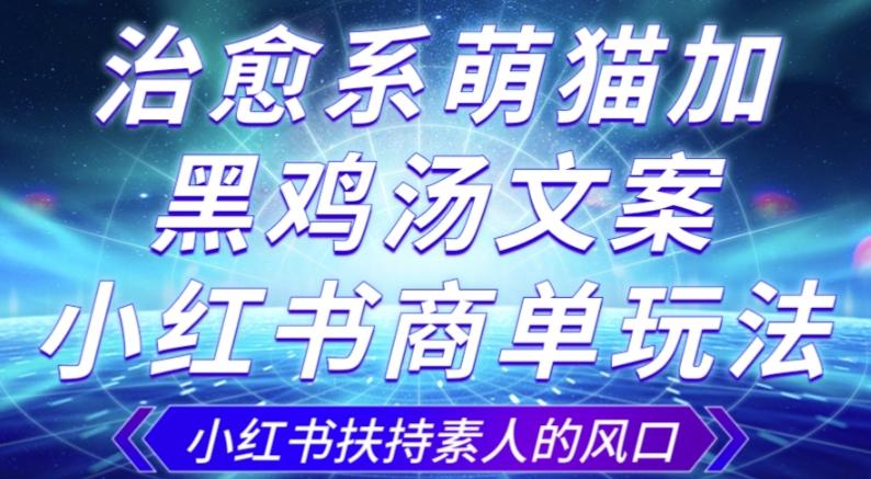 治愈系萌猫加+黑鸡汤文案，小红书商单玩法，3~10天涨到1000粉，一单200左右-天韵资源网