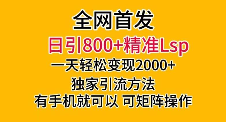 全网首发！日引800+精准老色批，一天变现2000+，独家引流方法，可矩阵操作【揭秘】-天韵资源网
