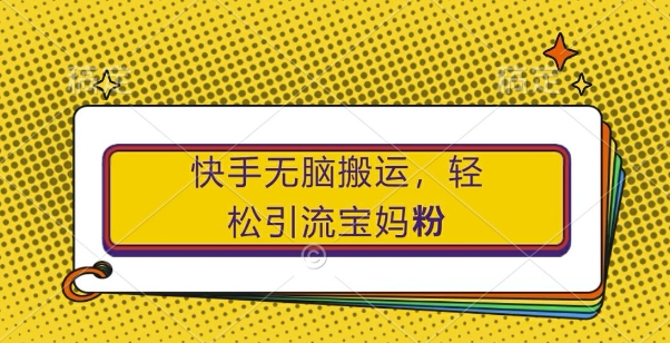 快手无脑搬运，轻松引流宝妈粉，纯小白轻松上手【揭秘】-天韵资源网