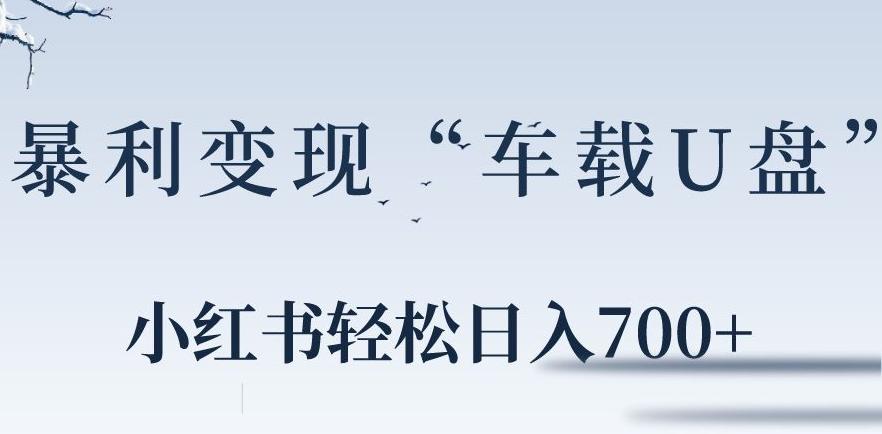小红书“车载U盘”暴利引流，日入700+-天韵资源网