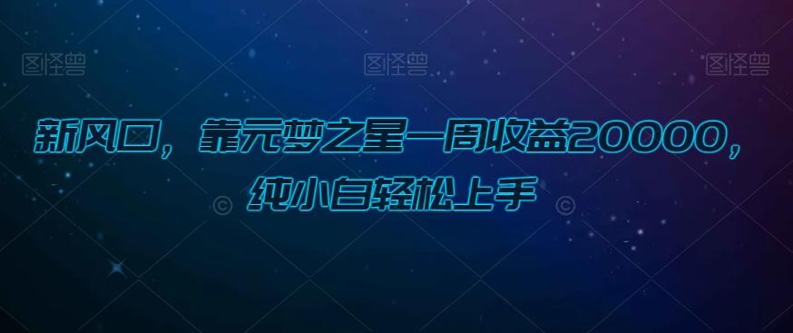 新风口，靠元梦之星一周收益20000，纯小白轻松上手-天韵资源网