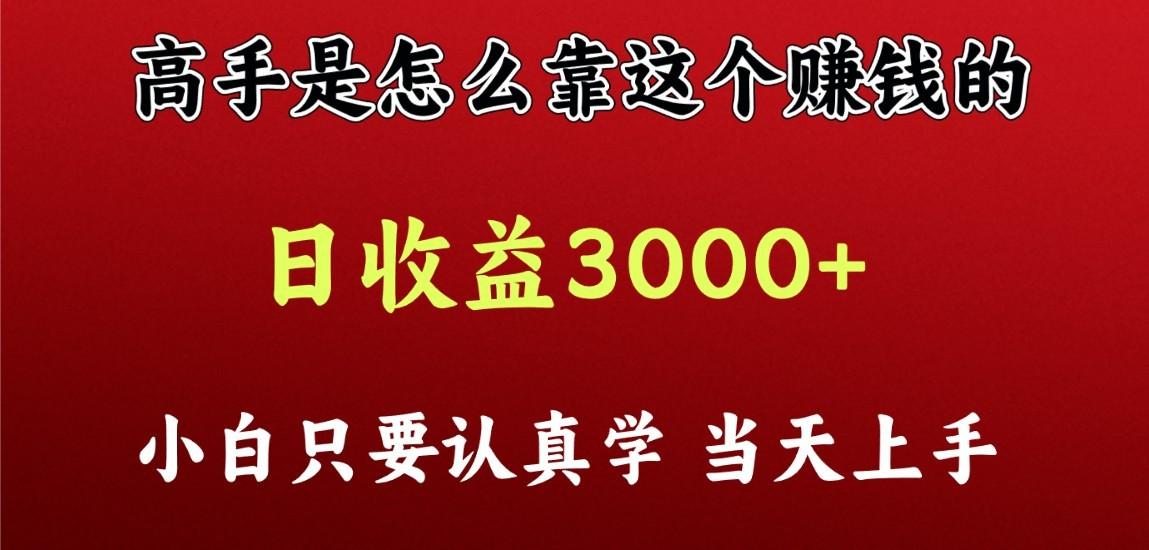 看高手是怎么赚钱的，一天收益至少3000+以上，小白当天上手-天韵资源网