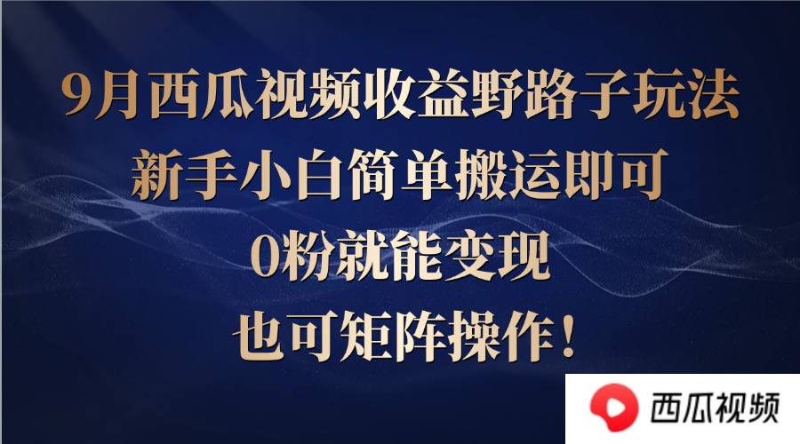 西瓜视频收益野路子玩法，新手小白简单搬运即可，0粉就能变现，也可矩…-天韵资源网