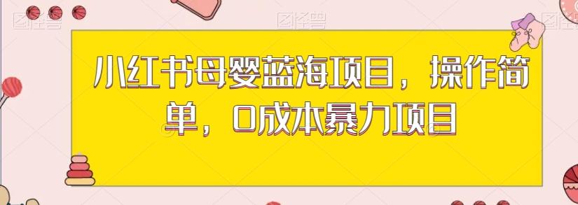小红书母婴蓝海项目，操作简单，0成本暴力项目-天韵资源网