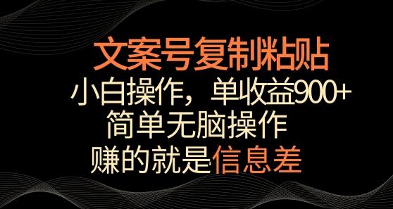 文案号掘金，简单复制粘贴，小白操作，单作品收益900+【揭秘】-天韵资源网