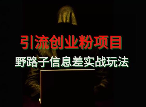【引流创业粉】野路子信息差玩法实战教学-天韵资源网
