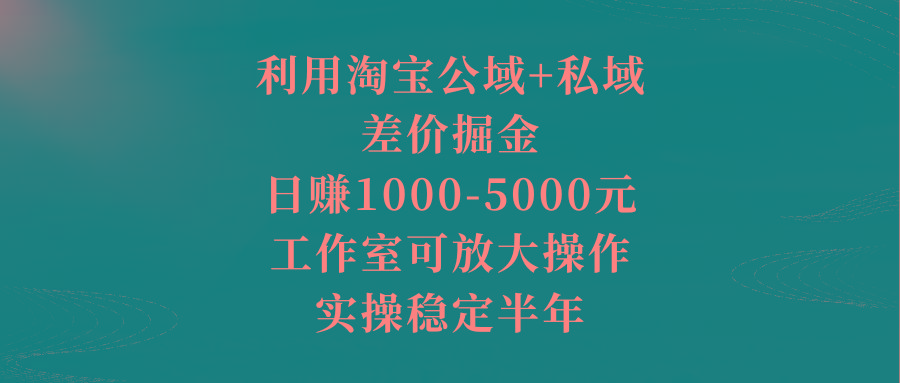 利用淘宝公域+私域差价掘金，日赚1000-5000元，工作室可放大操作，实操…-天韵资源网