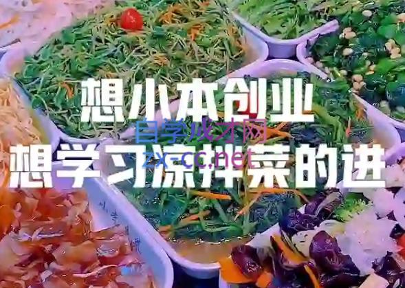 李记·精品凉拌菜系列热卤系列教程-天韵资源网