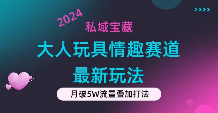 私域宝藏：大人玩具情趣赛道合规新玩法，零投入，私域超高流量成单率高-天韵资源网