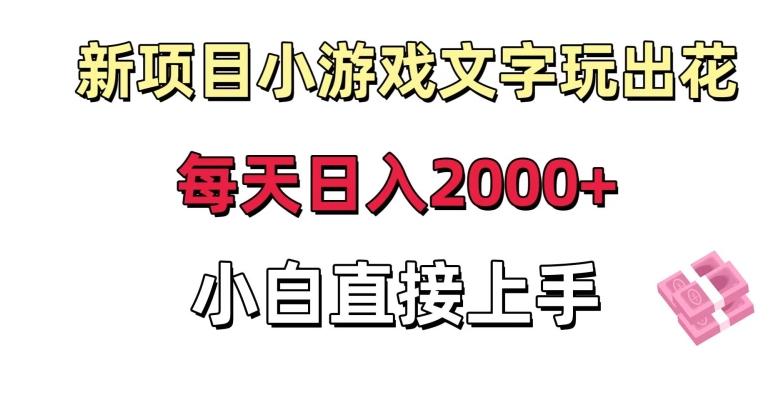 新项目小游戏文字玩出花日入2000+，每天只需一小时，小白直接上手【揭秘】-天韵资源网