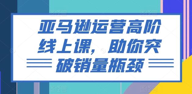 亚马逊运营高阶线上课，助你突破销量瓶颈-天韵资源网