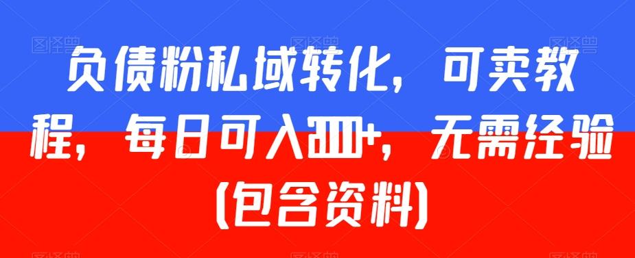 负债粉私域转化，可卖教程，每日可入2000+，无需经验（包含资料）【揭秘】-天韵资源网