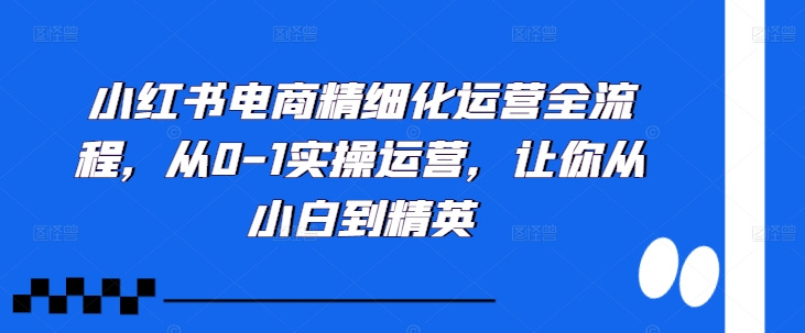 小红书电商精细化运营全流程，从0-1实操运营，让你从小白到精英-天韵资源网