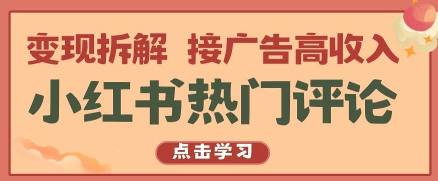 小红书热门评论，变现拆解，接广告高收入【揭秘 】-天韵资源网