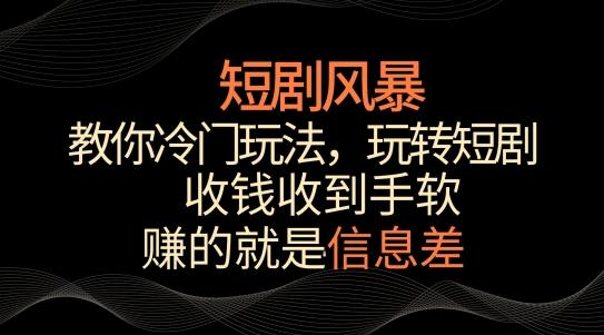 短剧风暴，教你冷门玩法，玩转短剧，收钱收到手软【揭秘】-天韵资源网