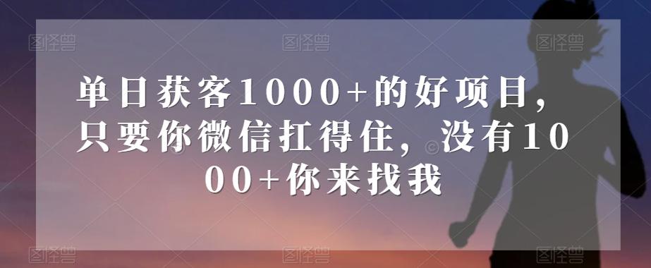 单日获客1000+的好项目，只要你微信扛得住，没有1000+你来找我【揭秘】-天韵资源网