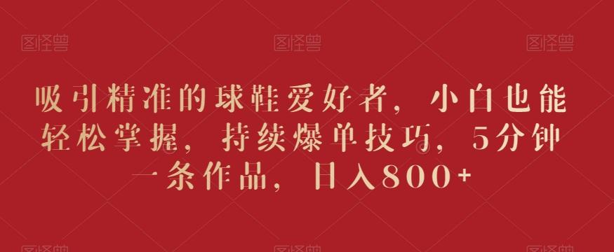 吸引精准的球鞋爱好者，小白也能轻松掌握，持续爆单技巧，5分钟一条作品，日入800+【揭秘】-天韵资源网