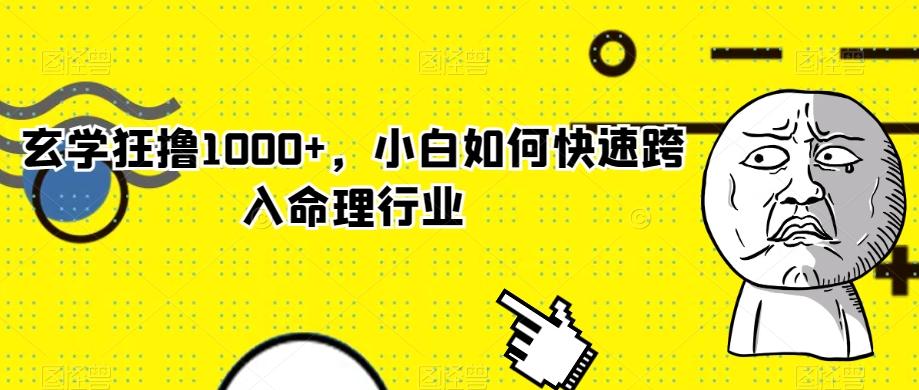 玄学狂撸1000+，小白如何快速跨入命理行业-天韵资源网