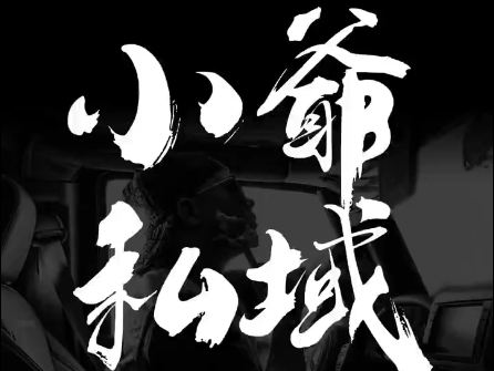 小爷·私域项目操盘手-天韵资源网