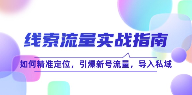 线 索 流 量-实战指南：如何精准定位，引爆新号流量，导入私域-天韵资源网