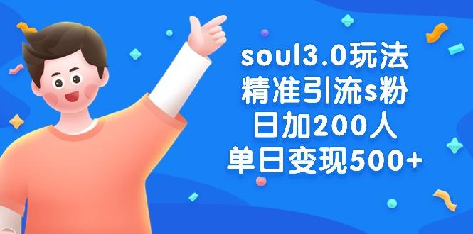 soul3.0玩法精准引流s粉，日加200人单日变现500+-天韵资源网