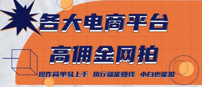 各大电商平台高佣金网拍，操作简单易上手，执行就能赚钱，小白也能做-天韵资源网