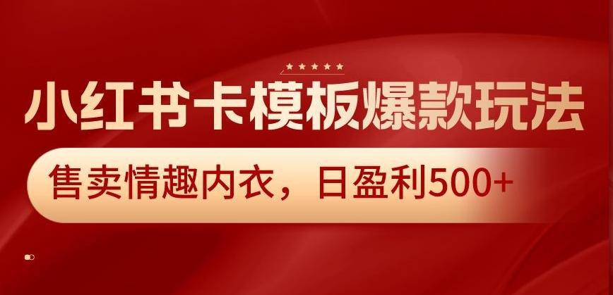 小红书卡模板爆款玩法，售卖情趣内衣，日盈利500+【揭秘】-天韵资源网