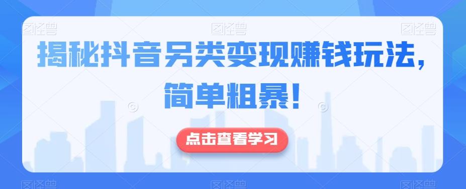 揭秘抖音另类变现赚钱玩法，简单粗暴！-天韵资源网