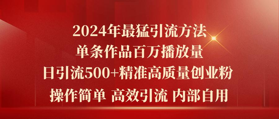 2024年最猛暴力引流方法，单条作品百万播放 单日引流500+高质量精准创业粉-天韵资源网