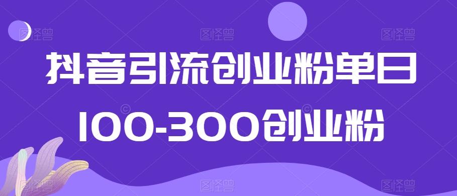 抖音引流创业粉单日100-300创业粉【揭秘】-天韵资源网