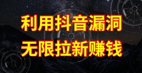 利用抖音链接漏洞，无限拉新赚钱【漏洞原理+操作流程】【揭秘】-天韵资源网